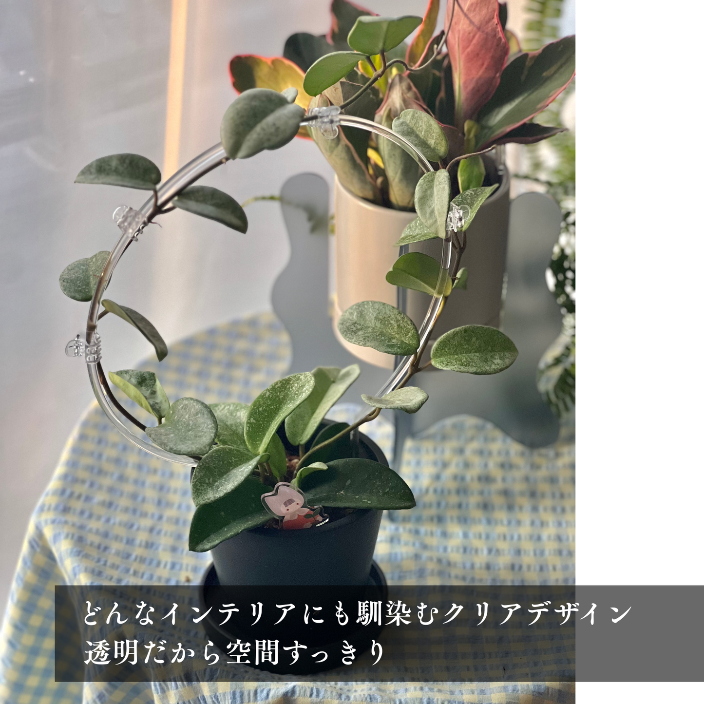 【丸型 大・小 / U字型 / 棒】クリア支柱+クリアクリップ20個セット