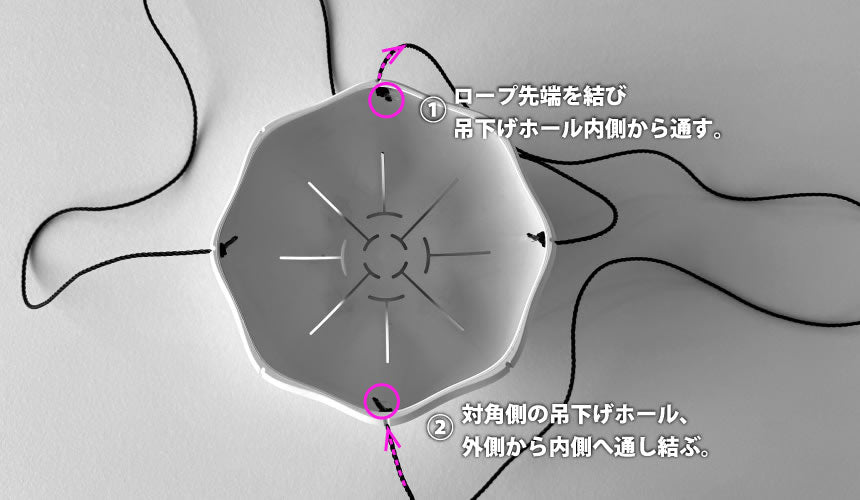 sen　紐
