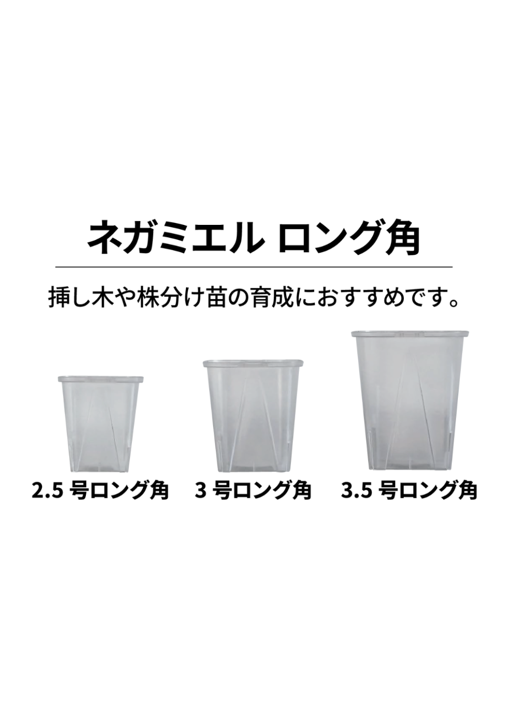 ネガミエル　2.5~10号