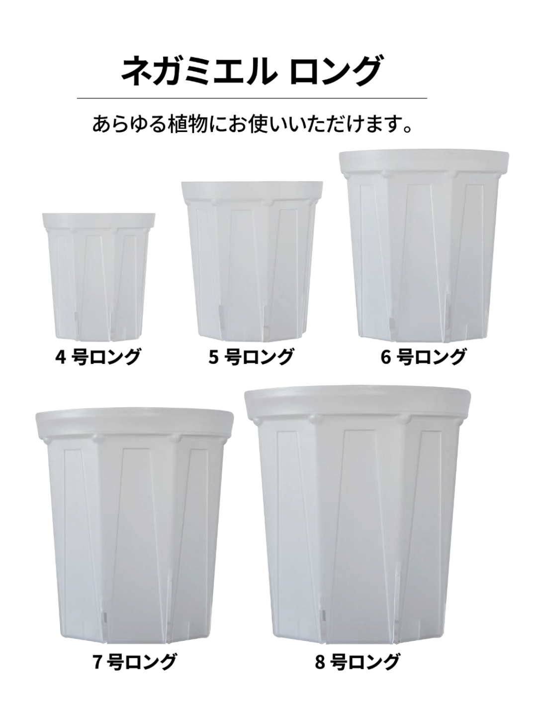 ネガミエル　2.5~10号