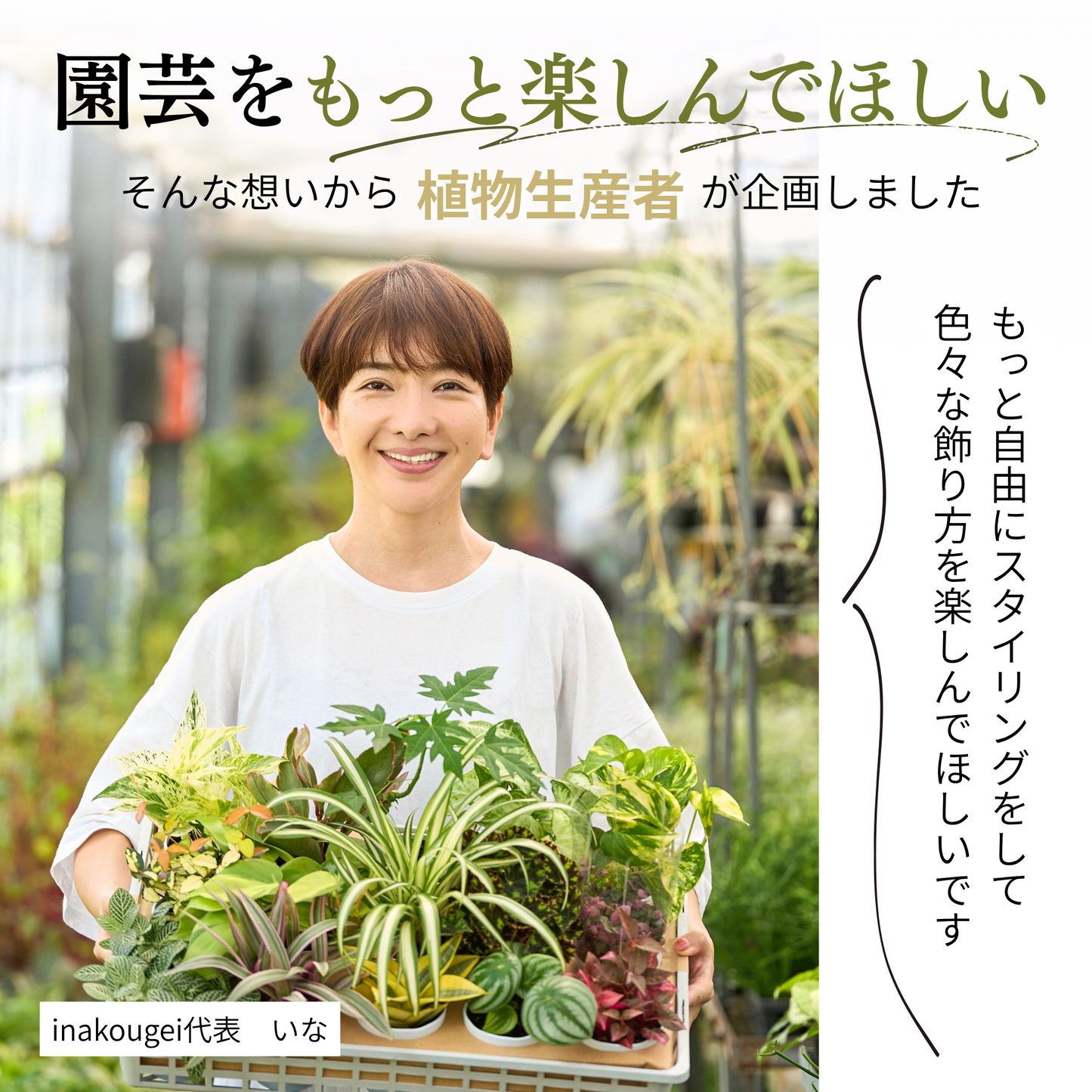 【丸型 大・小 / U字型 / 棒】クリア支柱+クリアクリップ20個セット