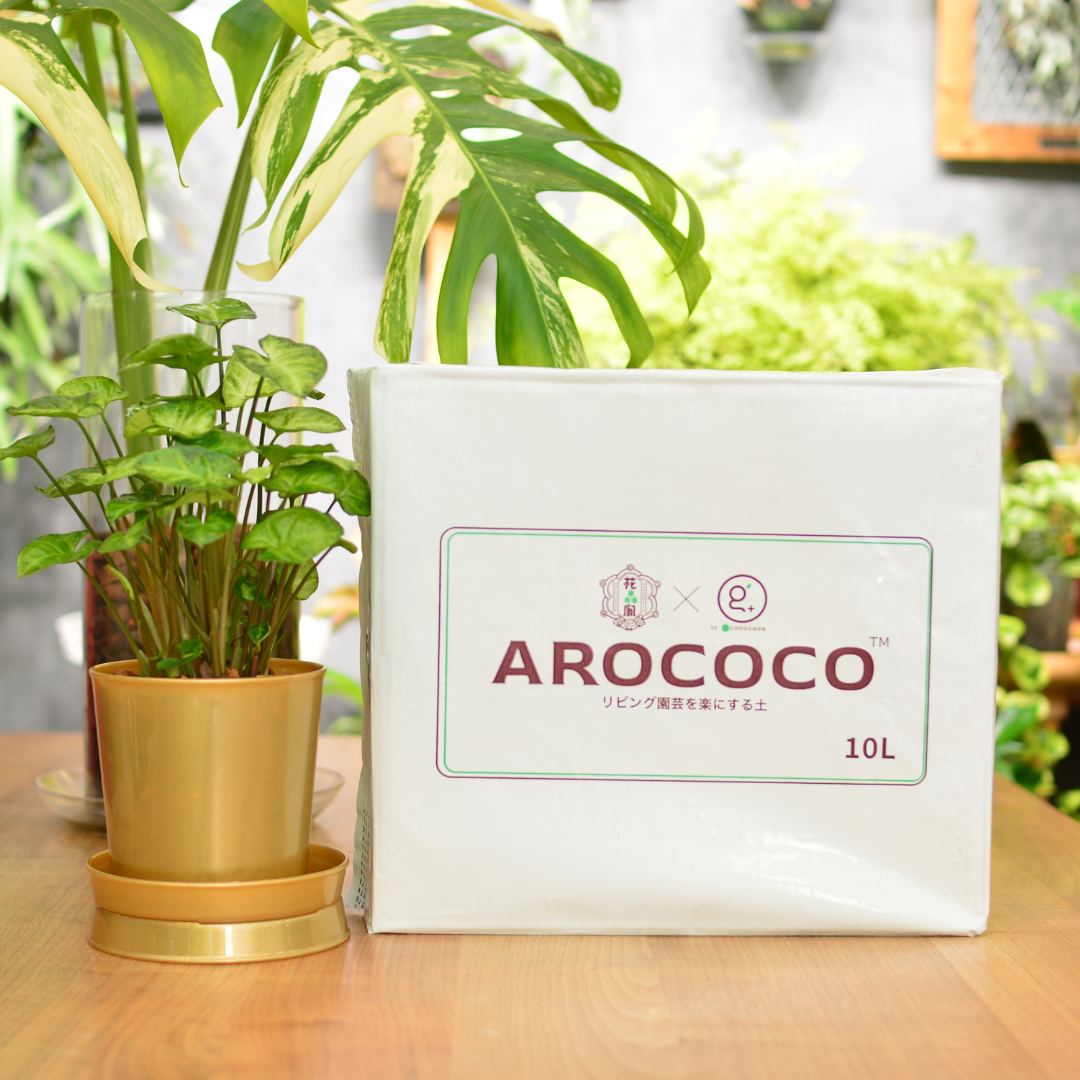 AROCOCO