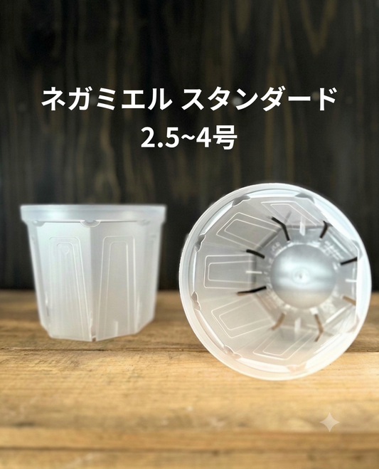 ネガミエル　スタンダード