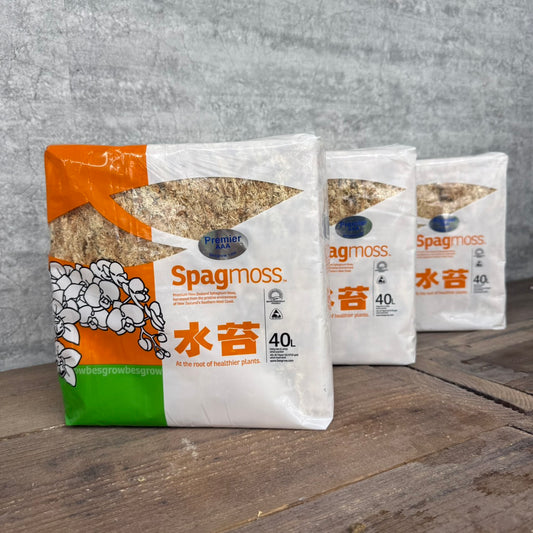 水苔　ニュージーランド産 AAA プレミアム ハイグレード　Spagmoss